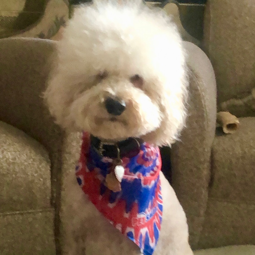 Meet your Posher, Gabby